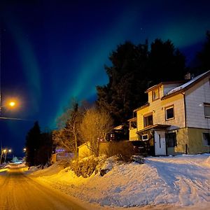 Senja, Skaland Apartment Exterior photo