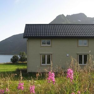 Charming House By The Sea, Lofoten! Villa Laupstad Exterior photo