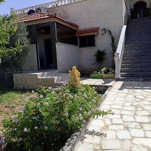 Family Studio Apartment Wadi Musa Exterior photo