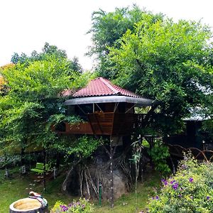 Treehouse Tabor Hills Resort Vagamon Exterior photo