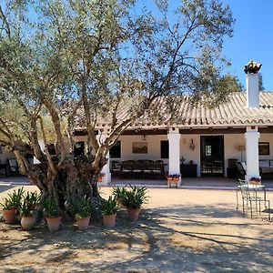 Casa De Campo - Cortijo El Palomar Villa Alcantara  Exterior photo