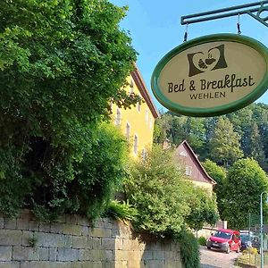 Bed And Breakfast Wehlen Stadt Wehlen Exterior photo