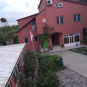 Zau Vila Hotel Grigoleti Exterior photo