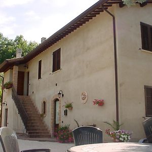 Agriturismo La Cantina San Martino Villa Assisi Exterior photo