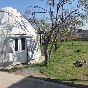 Yurt Stay In Downtown Karakol Exterior photo