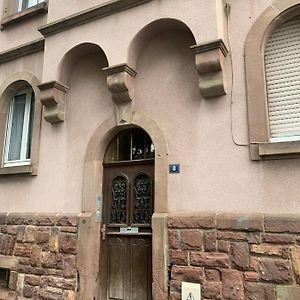 Appartement Cosy Proche Centre Colmar Exterior photo