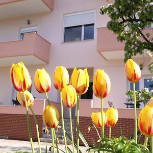 Turka Lake House Hotel Pogradec Exterior photo