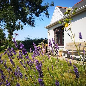 Y Cuddfan Gower Bed & Breakfast Swansea Exterior photo