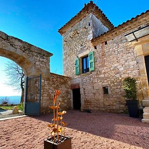 Domaine De Lejos - Portes D'Albi Bed & Breakfast Lamillarie Exterior photo