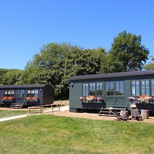 Hog Deer Creek - At Port Lympne Reserve Hotel Hythe  Exterior photo