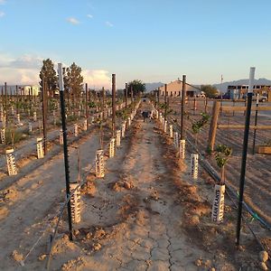 Black Star Ranch Vineyard Hotel Pahrump Exterior photo