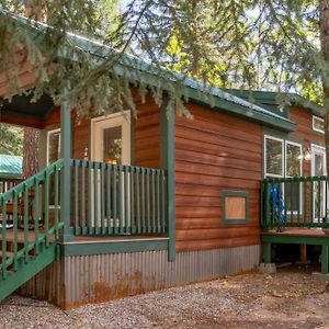 The Bear Den Cabin #12 At Blue Spruce Rv Park & Cabins Vallecito Exterior photo