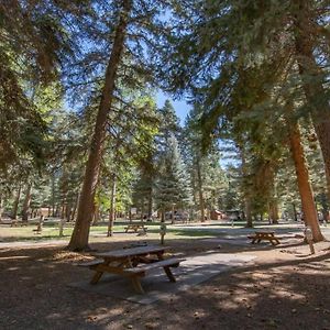 The Blue Spruce Cabin #16 At Blue Spruce Rv Park & Cabins Vallecito Exterior photo