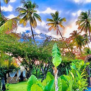 Majo Lounge Dans Un Jardin Tropical A 5 Min De La Mer Caraibe Villa Saint-Pierre Exterior photo