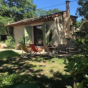 Petit Mas Provençal: Cozy Forest Retreat with Jacuzzi and Pool Villa Saint-Paul-en-Foret Exterior photo