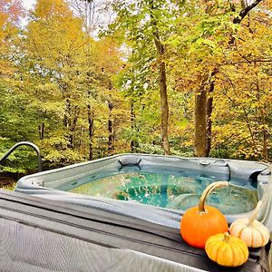 Hot Tubfire Pitfall Foliagebbqpedal Boat Villa Smallwood Exterior photo