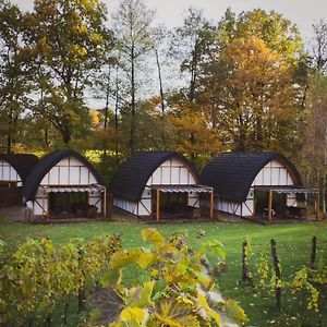 Sen I Wino Hotel Zywiec Exterior photo