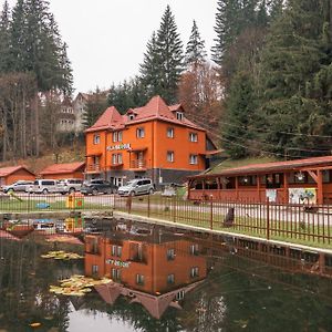 Vila Bradul Hotel Lacu Rosu Exterior photo