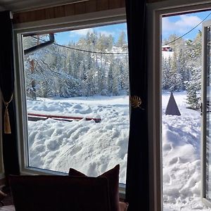 Ro I Sjelen. Hytte Til Leie Pa Skrim. Villa Kongsberg Exterior photo