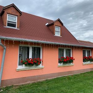 Airport16 Bed And Breakfast Budapest Exterior photo