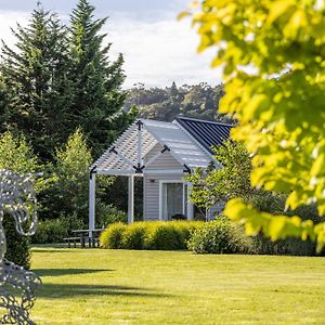 305 In The Vines Villa Havelock North Exterior photo