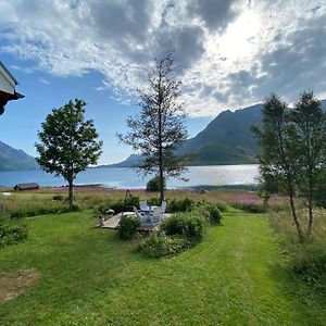 Unique And Charming House At The Foot Of Lofoten'S Highest Mountain Villa Svolvaer Exterior photo