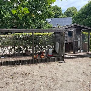 Completely Renovated Back Part Of A Farm Villa Uden Exterior photo