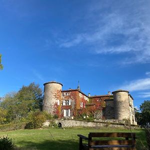 Chateau De Montcuquet Bed & Breakfast Lautrec Exterior photo