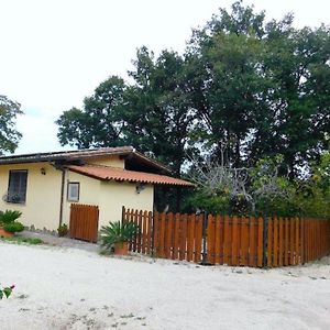 Ferienhaus Fuer 4 Personen 1 Kind Ca 75 Qm In Bottaccio, Latium Rom Und Umgebung Villa Castel di Guido Exterior photo