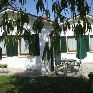 Elegante Wohnung In Einer Venezianischen Villa Mira Exterior photo