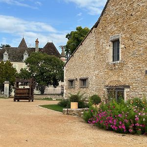 Chateau Du Mauny, Gites Et Chambres D'Hotes En Bourgogne Rosey Exterior photo