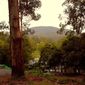 Kookaburra'S Perch Villa Millgrove Exterior photo