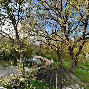 Tinyhouse Minimalus III Mit Whirlpool Im Gruenen Villa Dessighofen Exterior photo