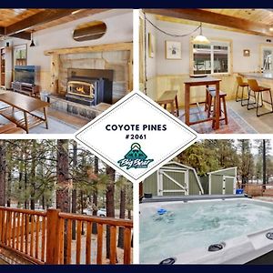 2061-Coyote Pines Home Big Bear City Exterior photo