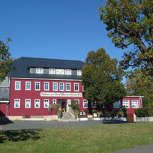 Zum Roten Hirsch Im Gruenen Wald Hotel Saalfeld Saale Exterior photo