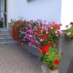 Studio Rouffach Apartment Exterior photo