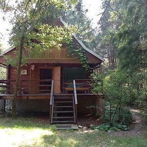 Dom Na Skraju Lasu Villa Stoczek Lukowski Exterior photo