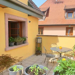 Le Schmoutz: Charmant Duplex Entre Colmar Et Mulhouse Apartment Ensisheim Exterior photo