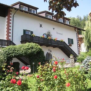 Naturhotel Wieserhof Longostagno Exterior photo