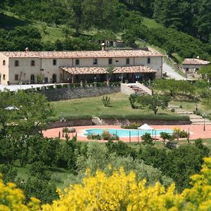 Agriturismo Il Daino Villa San Piero Patti Exterior photo