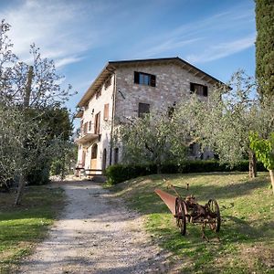 La Piaggia Bed & Breakfast Assisi Exterior photo