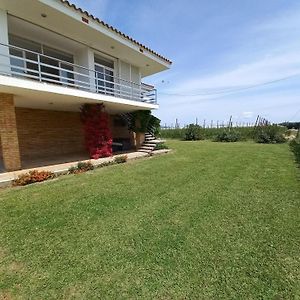 Casa De Vacaciones: A/A, Wifi, Barbacoa, Gran Jardin, Parking, Deporte - Sant Pere Pescador - Es-89-140 Villa Exterior photo