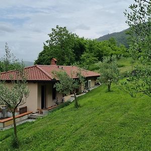 Zelkonn House Apartment Branik Exterior photo