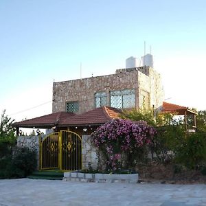 The Green Farm Villa Amman Exterior photo