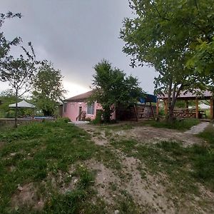 "Chinchin" Mansion - With Swimming Pool Hotel Exterior photo