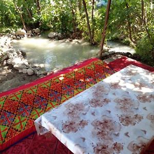 Waterfall In The Yard Bed & Breakfast Karakol Exterior photo