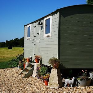 Luxury Shepherd'S Hut - The Hyde Apartment Reading Exterior photo