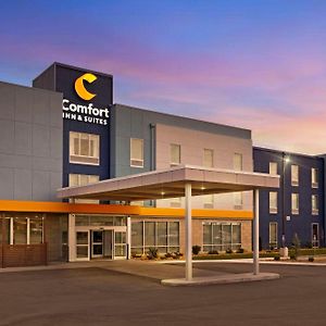 Comfort Inn & Suites Us-60 Mountain Grove Exterior photo