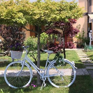 Sensory Garden Bed & Breakfast San Daniele del Friuli Exterior photo