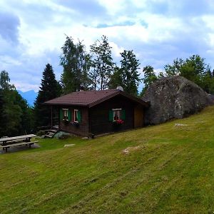 Chalet Al Sasso Da Pino, Telve Ospitar Apartment Exterior photo